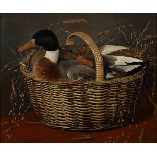 Domestic ducks in a basket